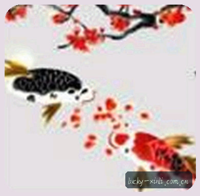 赵静